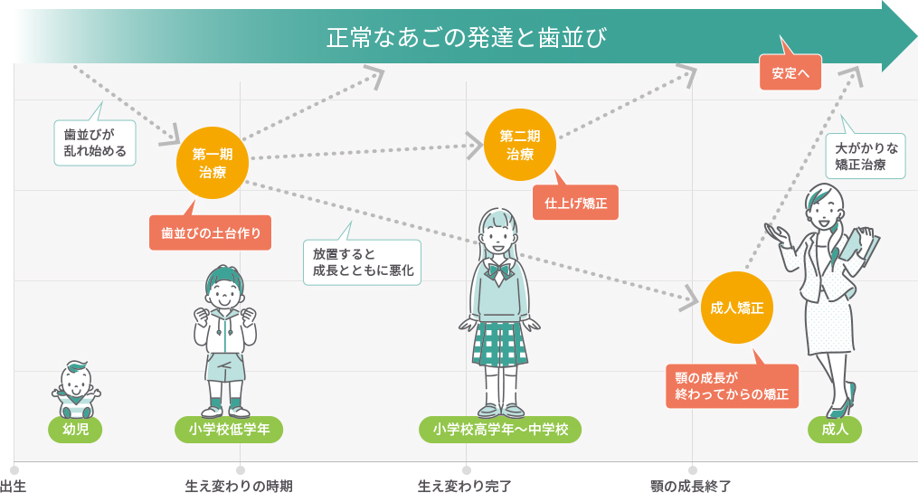 正常なあごの発達と歯並び一